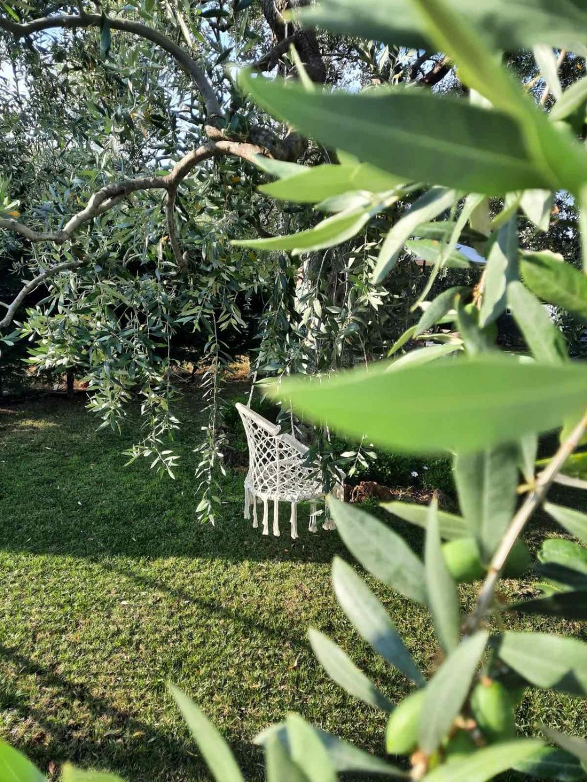 Villa Elia Skala Sotiros Ngoại thất bức ảnh