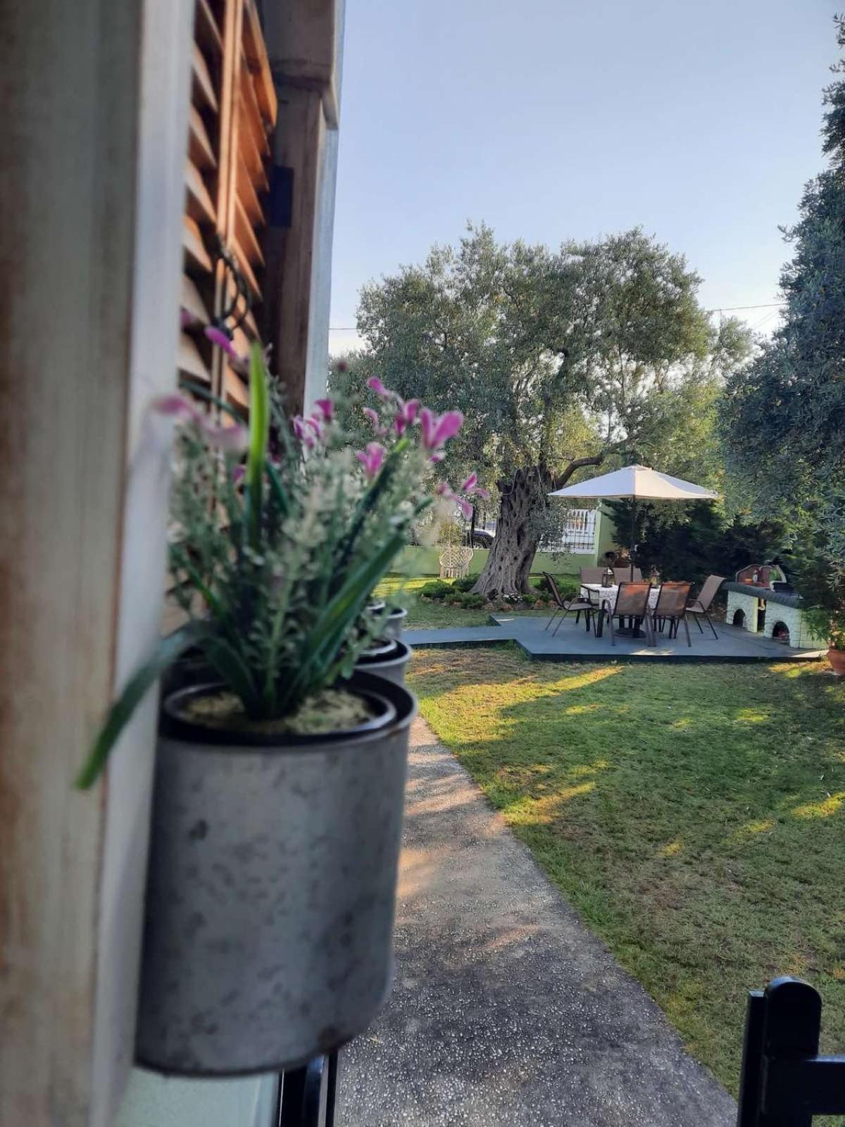 Villa Elia Skala Sotiros Ngoại thất bức ảnh