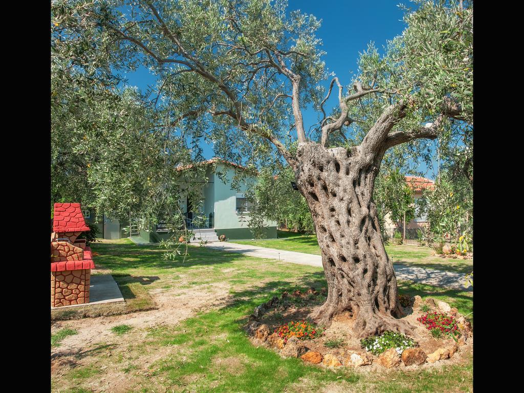 Villa Elia Skala Sotiros Ngoại thất bức ảnh